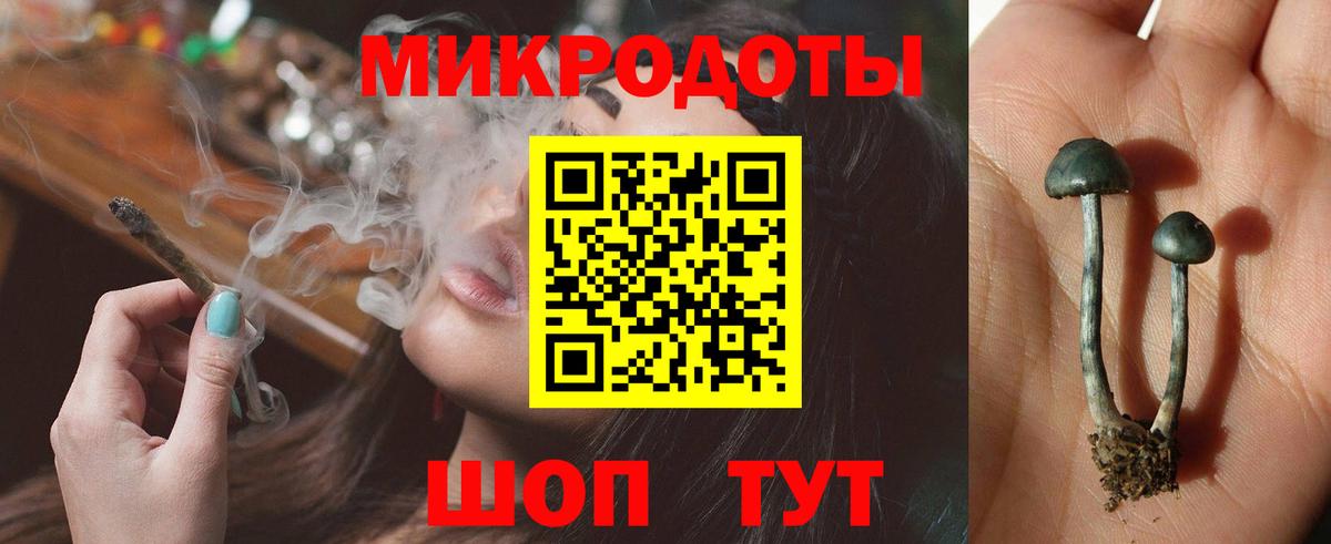 Псилоцибиновые грибы Cubensis  Вход с VPN  Елизово 