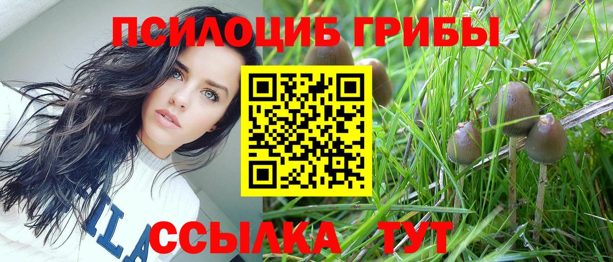 Псилоцибиновые грибы ЛСД Елизово
